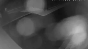 Caméra IP - Australien