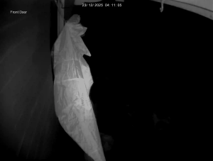 Caméra IP - Vereinigtes Königreich