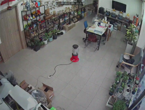 Caméra IP - South Korea