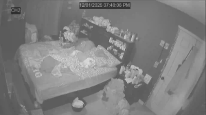 Caméra IP - Vereinigte Staaten von Amerika