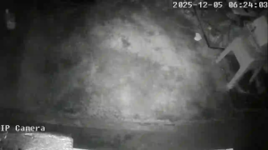 Caméra IP - Singapore