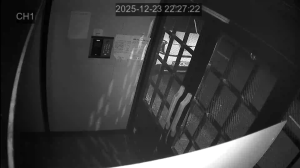 Caméra IP - South Korea