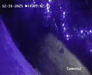 Caméra IP - Spanien