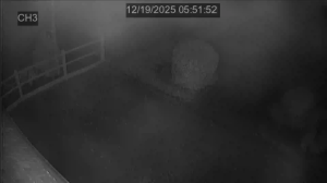 Caméra IP - Francia