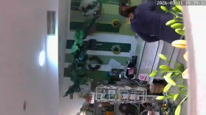 Caméra IP - Alemania