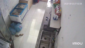 Caméra IP - Vietnam