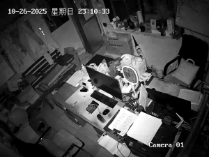 Caméra IP - Chine