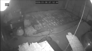 Caméra IP - Südkorea