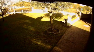 Caméra IP - Philippines