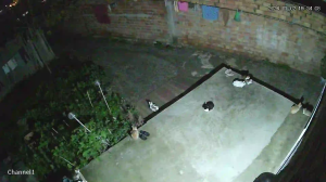 Caméra IP - Morocco