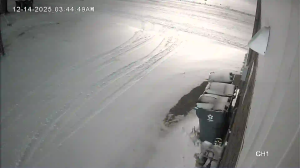 Caméra IP - United States of America