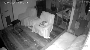 Caméra IP - États-Unis d'Amérique