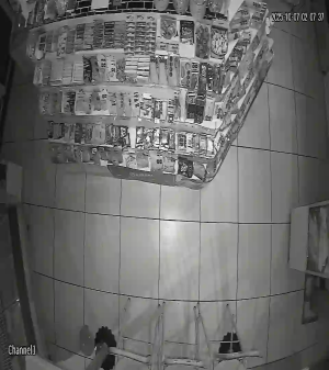 Caméra IP - Argentine