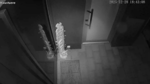 Caméra IP - Germany