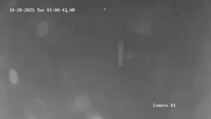 Caméra IP - Stati Uniti d'America