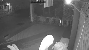 Caméra IP - Tailandia