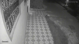 Caméra IP - Morocco