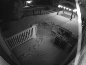 Caméra IP - Canadá