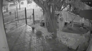 Caméra IP - Brésil