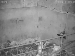 Caméra IP - Irlande