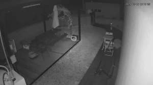 Caméra IP - South Korea