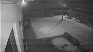 Caméra IP - Germany