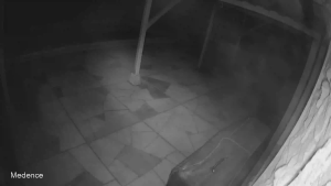 Caméra IP - Hungary