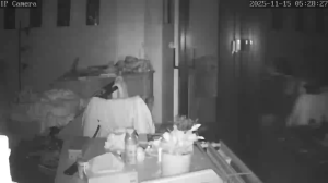 Caméra IP - Belgium