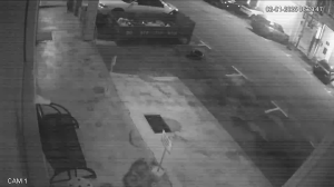 Caméra IP - Malaysia