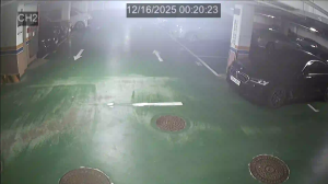 Caméra IP - South Korea