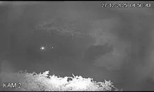 Caméra IP - Österrike