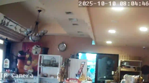 Caméra IP - Giappone