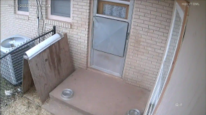 Caméra IP - Estados Unidos