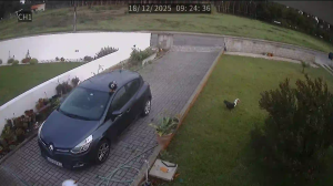 Caméra IP - Portogallo