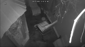 Caméra IP - Stati Uniti d'America