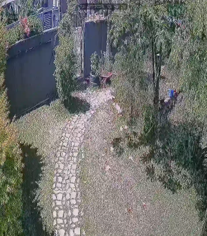 Caméra IP - Mauritius