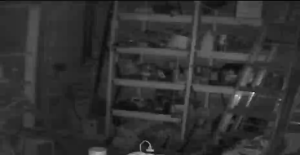 Caméra IP - États-Unis d'Amérique