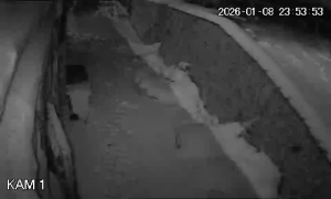 Caméra IP - Eslovaquia