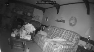 Caméra IP - United States of America