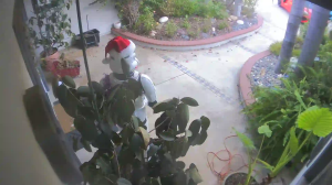 Caméra IP - États-Unis d'Amérique