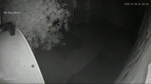 Caméra IP - Porto Rico