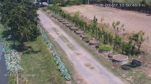 Caméra IP - Thailand