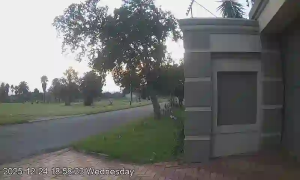 Caméra IP - Sudáfrica