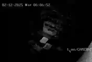 Caméra IP - Équateur