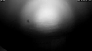 Caméra IP - Belgium