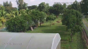 Caméra IP - Thaïlande