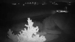 Caméra IP - South Korea