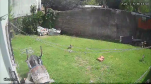 Caméra IP - Argentina