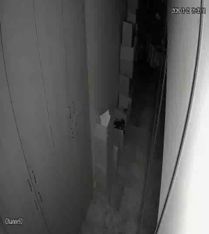 Caméra IP - Turquie