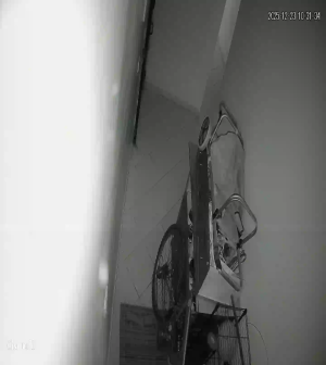 Caméra IP - Vue en direct